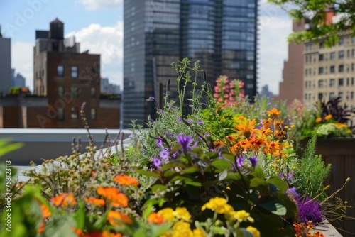 A colorful flower garden on a rooftop in a city