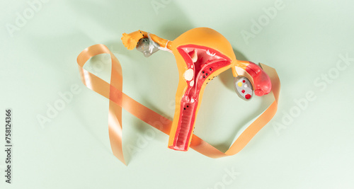 Uterine Cancer Awareness Month. Peach Color Ribbon.