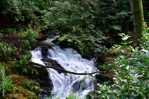Waterfall in the forest. Woodstock waterfall, Woodstock Arboretum and Gardens, Inistioge, County Kilkenny, Ireland