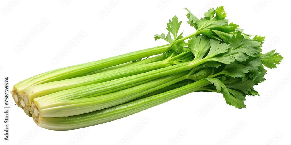 Fresh green celery isolated on Transparent background.