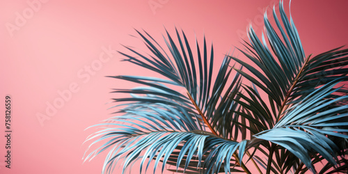 a palm tree against a pink background.