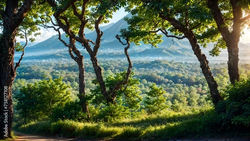 Beautiful sunny morning in green forest