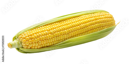 A yellow corn isolated on Transparent background.