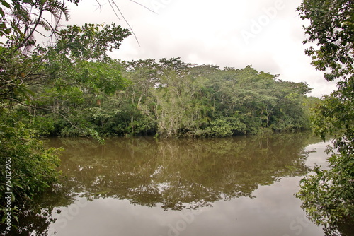 River flowing through the Cuyabeno Wildlife Reserve, outside of Lago Agrio, Ecuador © Angela
