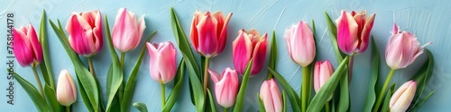 Bouquet of pink tulips on pastel blue background  banner. Greeting card for Mother s Day  Woman s Day  Easter  Valentine s Day  Wedding  and Birthday celebration.