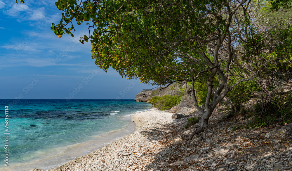 Swimming off Boka Hulu the caribbean island of Curacao Swimming off Boka Hulu the caribbean island of Curacao