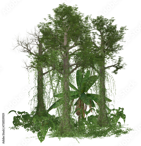 Tropical Rain Forest Tree 3D Illustration  Image 1