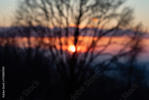 sfondo sfuocato che mostra la sagoma scura di un albero spoglio in un ambiente naturale in collina e un bellissimo cielo al tramonto