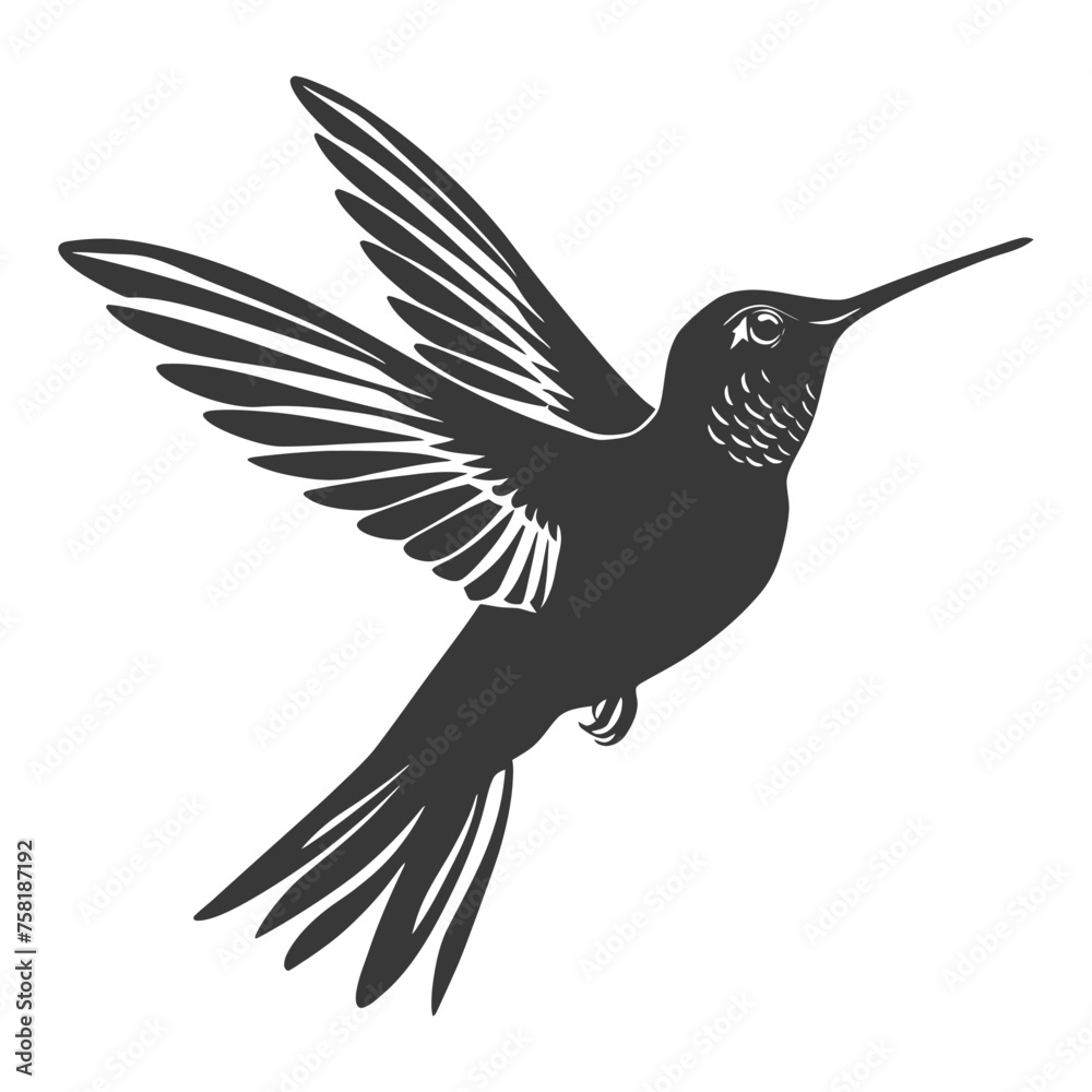 Silhouette Hummingbird black color only full body Silhouette Hummingbird black color only full body
