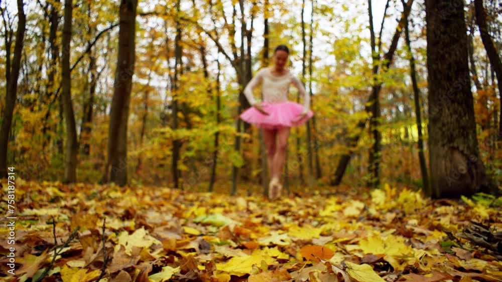 A ballerina, adorned in a pink tutu, gracefully dances among the trees and grass in a natural woodland setting A ballerina, adorned in a pink tutu, gracefully dances among the trees and grass in a natural woodland setting