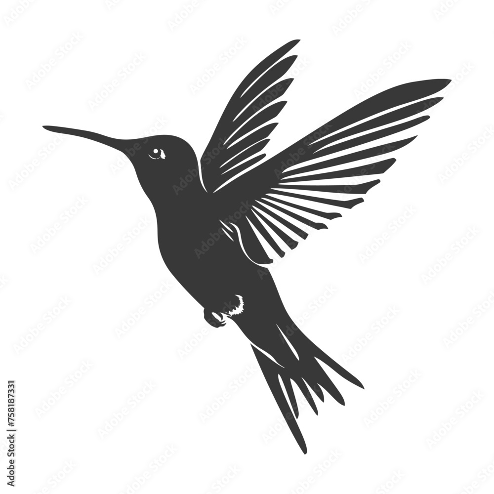 Obraz premium Silhouette Hummingbird fly black color only full body