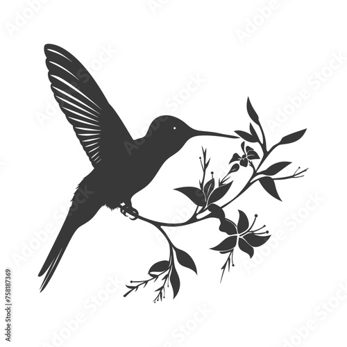 Silhouette Hummingbird fly black color only full body