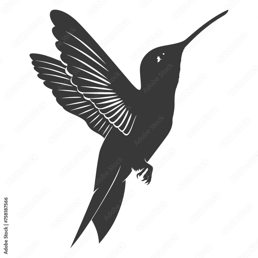 Obraz premium Silhouette Hummingbird fly black color only full body