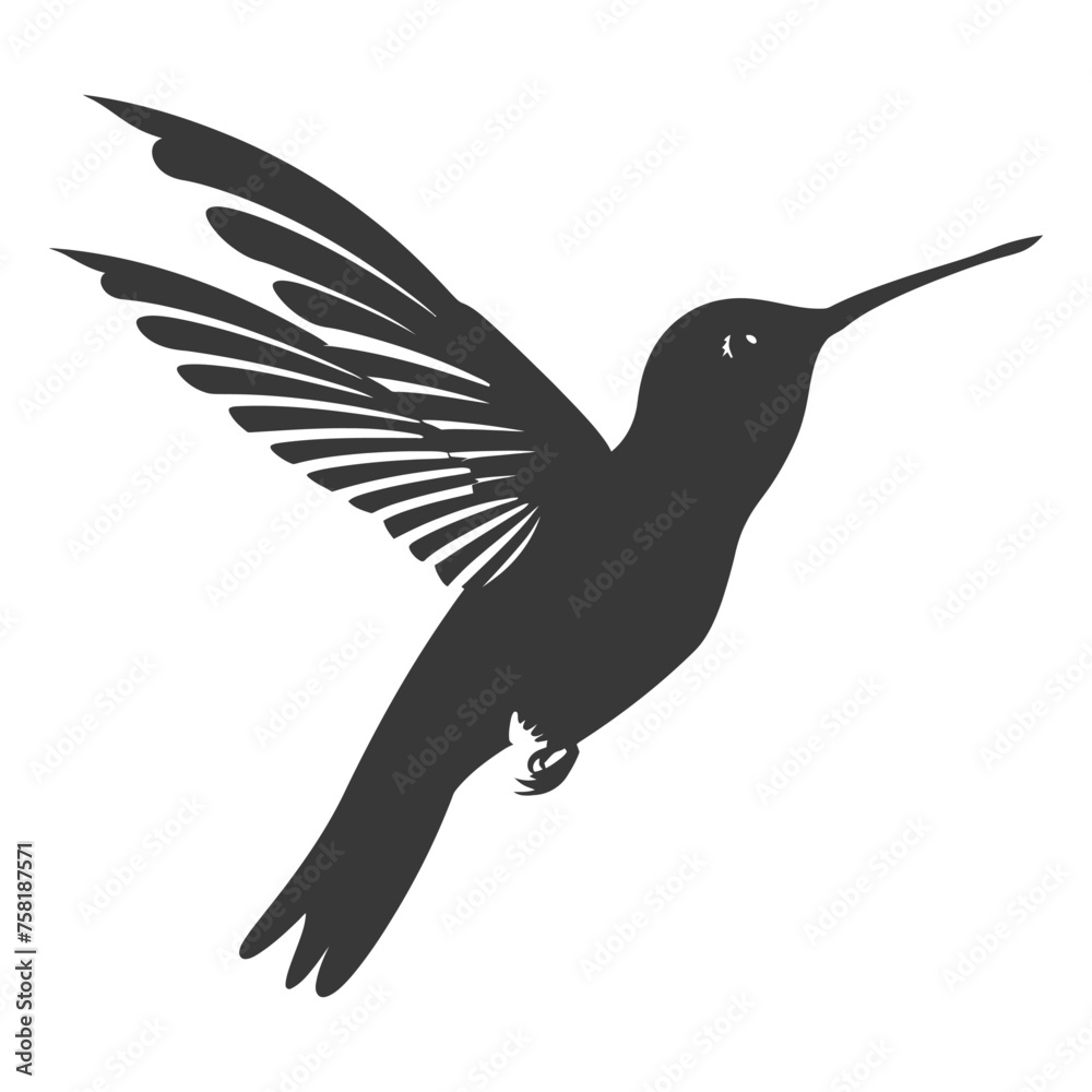 Obraz premium Silhouette Hummingbird fly black color only full body