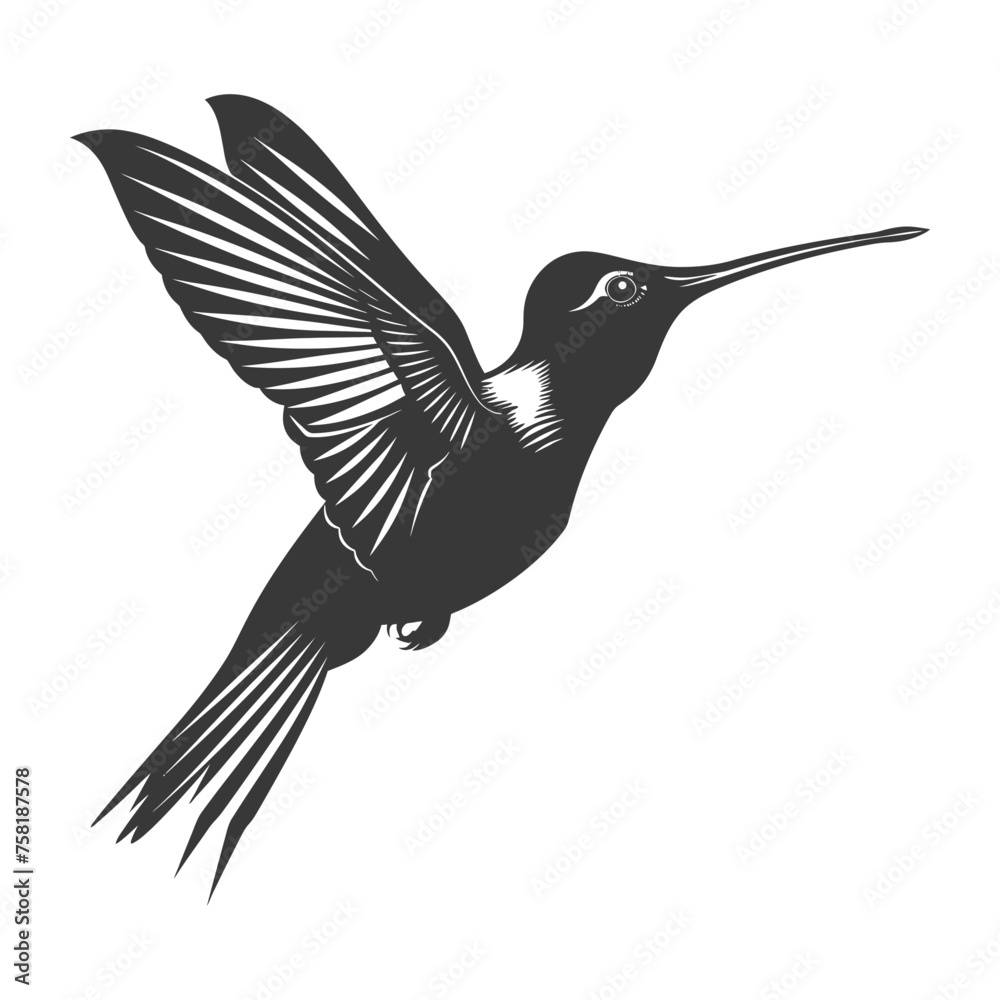 Obraz premium Silhouette Hummingbird fly black color only full body