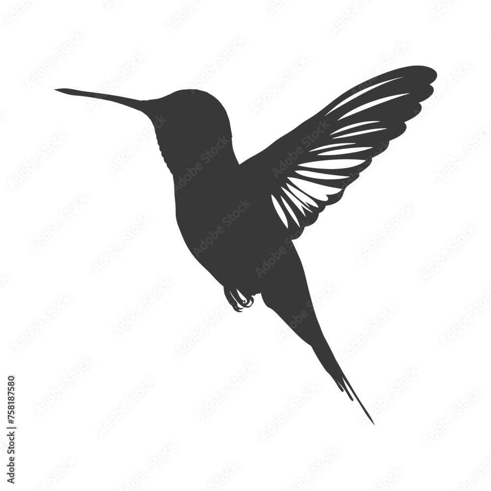 Obraz premium Silhouette Hummingbird fly black color only full body