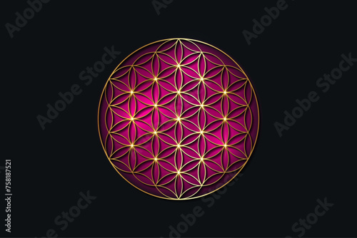 flower of life, gold spiritual mandala, Sacred Geometry. Bright golden symbol of harmony and balance. Mystical talisman, luxury round vector isolated on purple background 