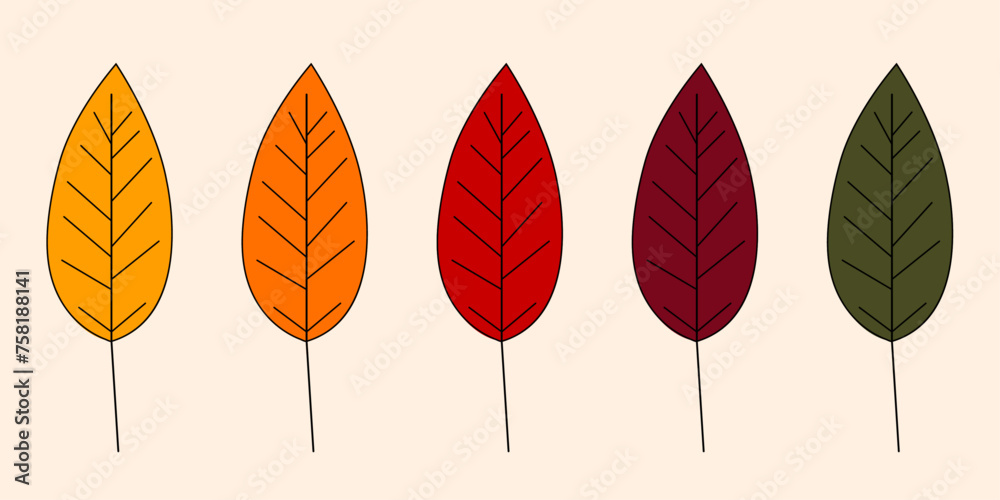 Obraz premium Collection of color autumn leaves.