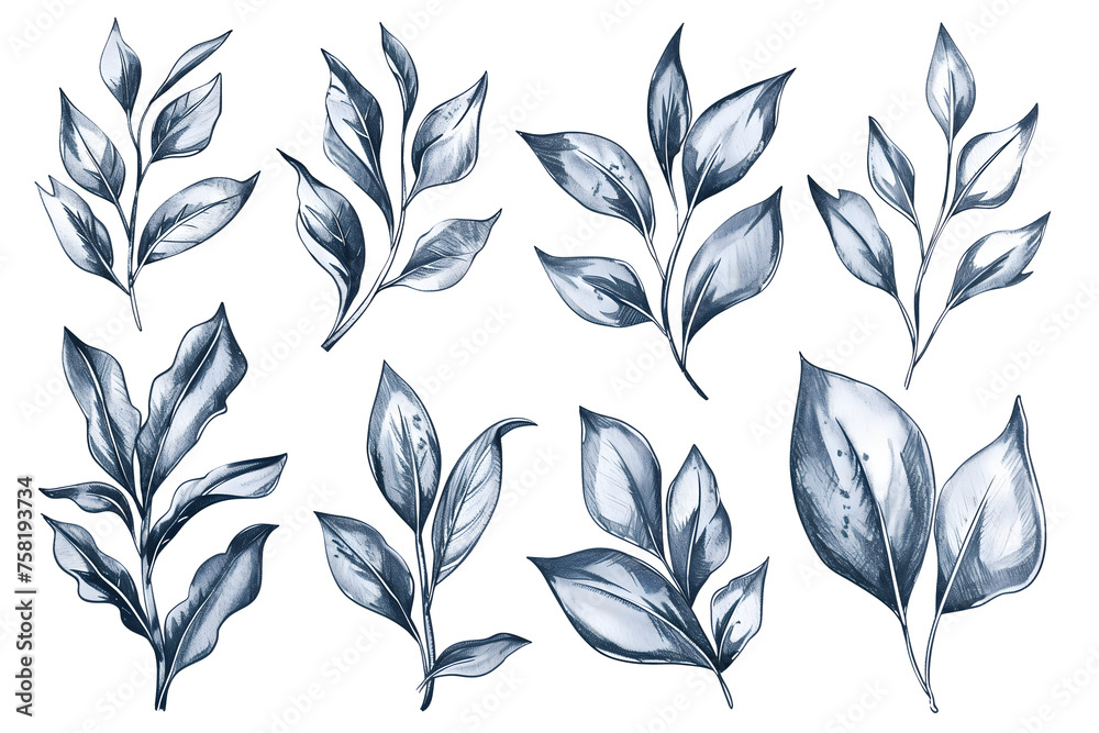 Collection Set of Watercolor Leaves Illustrations - Isolated on White Transparent Background PNG
 - obrazy, fototapety, plakaty 