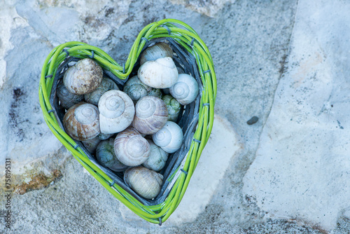 Empty snail shells in a heart-shaped basket