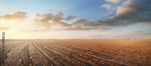 Vast Field Blanketed by Blue Skies, a Serene Countryside Landscape photo