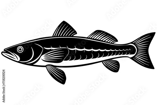 Fish vector illustration