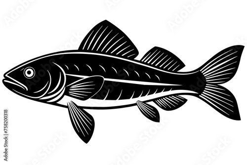 Fish vector illustration