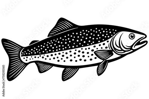 Fish vector illustration