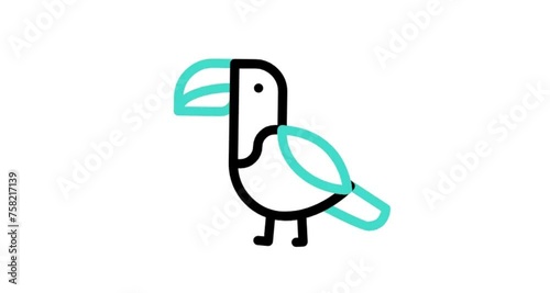 bird icon animation video photo