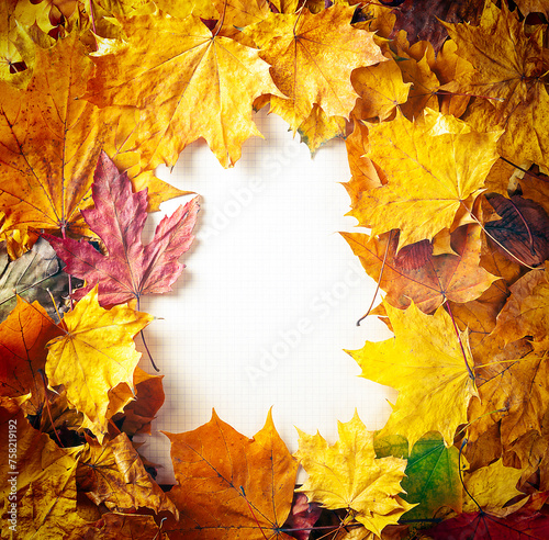 Autumn concept - background of dry fallen autumn leaves with space for text in the middle - checkered notebook sheet surrounded by autumn leaves, copy space