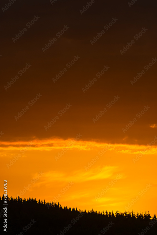 Sunset Over a Swedish Forest With Vivid Orange Sky and Silhouetted Trees Sunset Over a Swedish Forest With Vivid Orange Sky and Silhouetted Trees