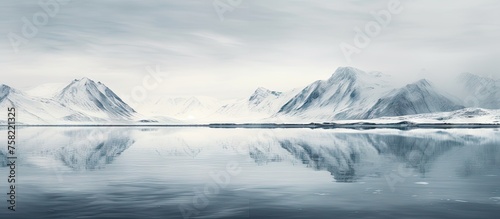 Tranquil Scenery of a Vast ...