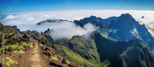 Majestic Mountain Range Sil...