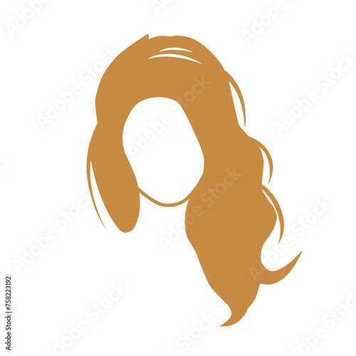 beautiful hair style,vector
