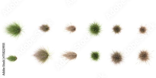 Natural fresh green Red tussock grass cut out backgrounds 3d rendering,top view