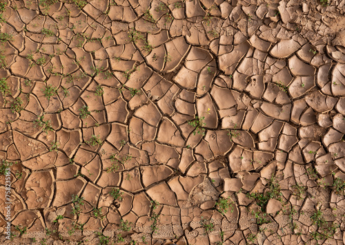 Sandy soil in a drought