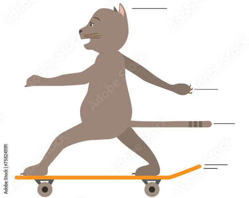 Cat on a Skateboard