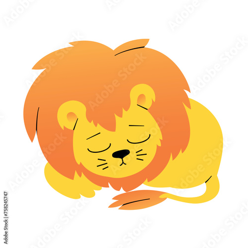 lion cub sleeps curled up