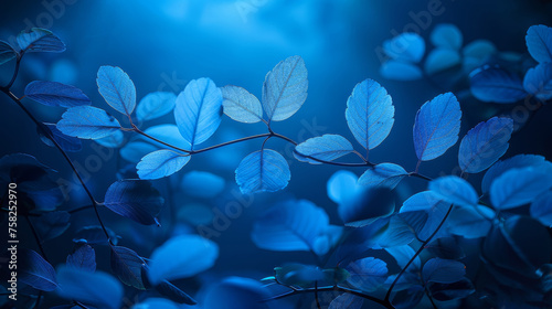  a close up of leaves on a tree branch with a blue light in the backround of the picture.