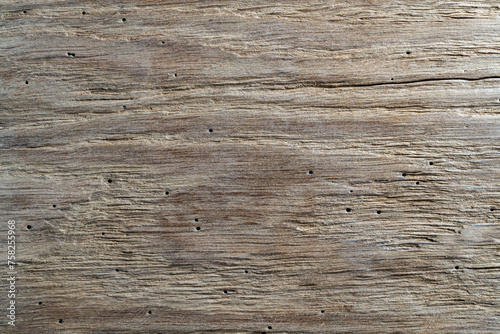 Rustic weathered barn wood background with termites holes. Vintage brown wooden barn oak with cracks and woodgrain. Old wood with nature texture and pattern. Weathered barn timber