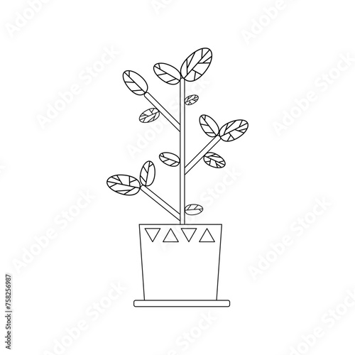 Outline plant in pot. Simple black and white vector illustration. for print, web, print isolated on white background © Larisa