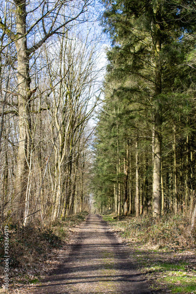 Fototapeta premium côté vêtu, côté nu