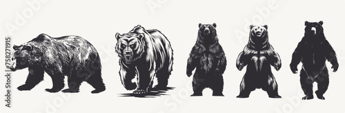 Silhouette set of bear poses, Generative Ai