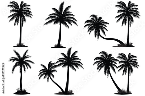 Fototapeta Naklejka Na Ścianę i Meble -  Palm Tree Vector Silhouette vector, Icons