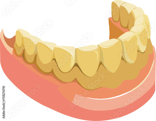 Illustration of human lower jaw with teeth