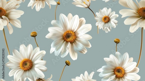 Summer Floral pattern with chamomile flower over blue background.