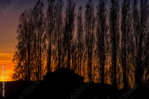 Foto a l'ombre des peupliers