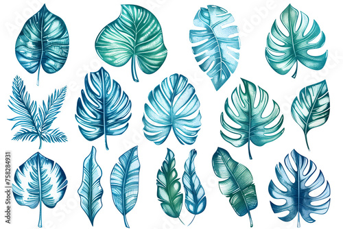 Assorted Tropical Leaves Watercolor Collection - Isolated on White Transparent Background 