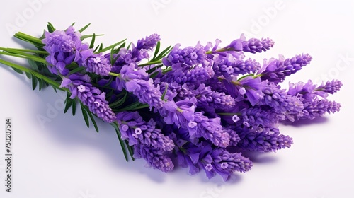 Vibrant Bouquet of Purple Lavender Flowers Cut-Out  