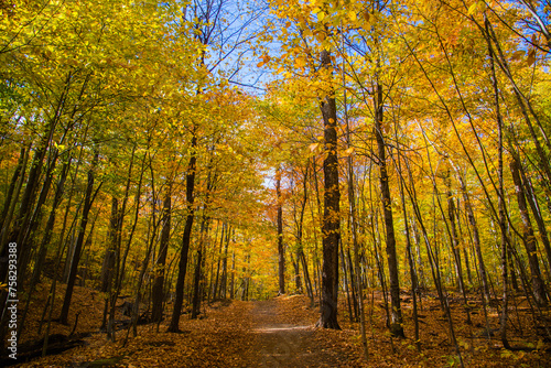 Bromont  Canada - October 14 2019  Colorful autumn view in Bromont mount in Quebec Canada